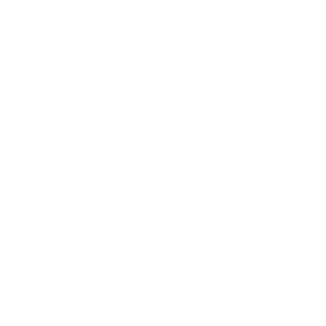 Aluminum Beam (AB) T150 (with timber)