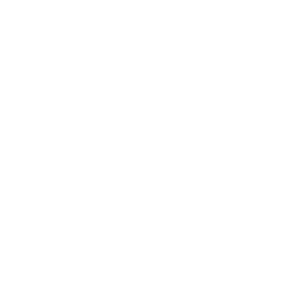 Aluminum Beam (AB) T150 (without timber)