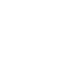 GS Spigot Connector (SC)